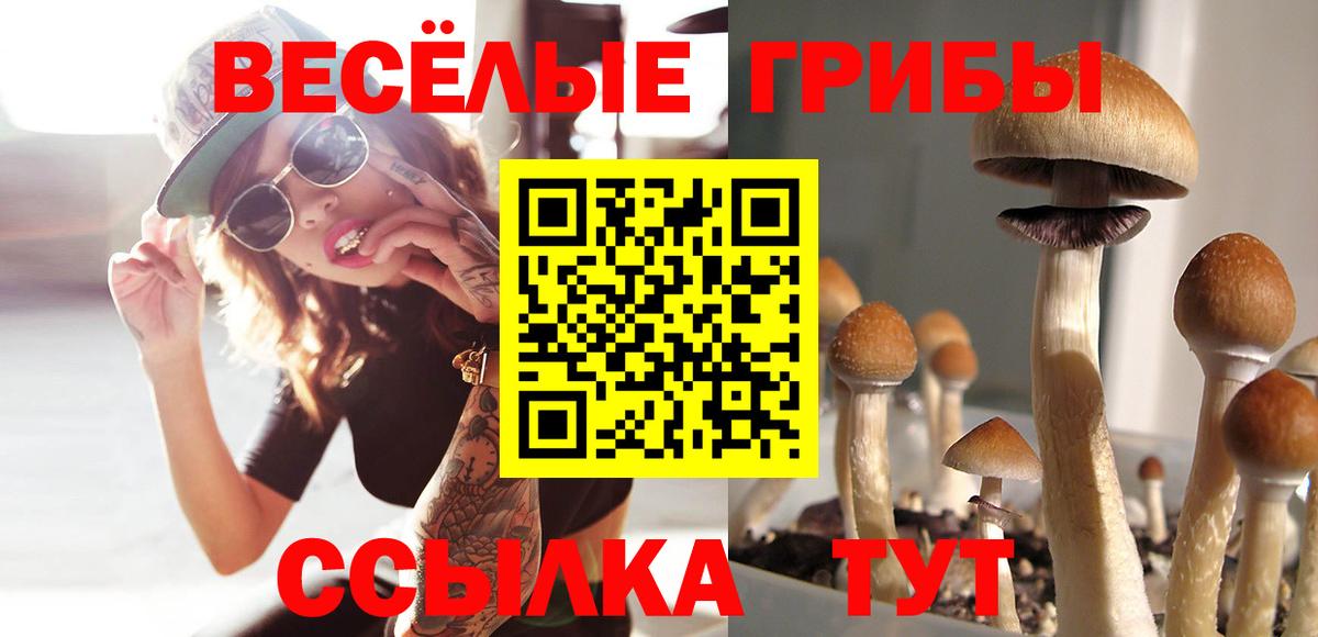 Ирбит  Галлюциногенные грибы Psilocybine cubensis  Вход с VPN 